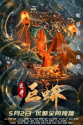《夫妇联欢回不去的夜晚》海报